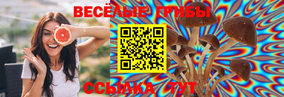 Галлюциногенные грибы Magic Shrooms  Вход с VPN  Луга 