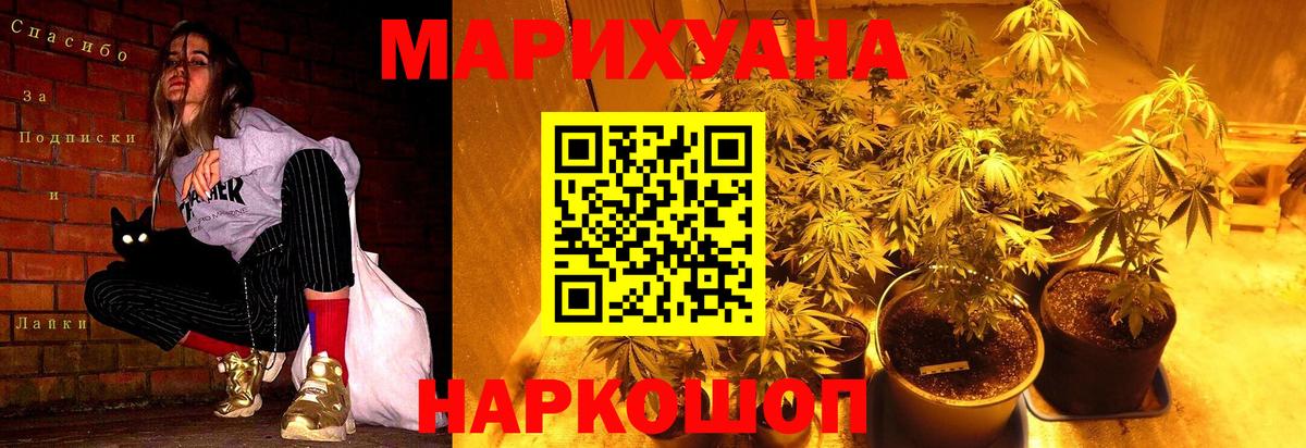Бошки марихуана MAZAR Луга